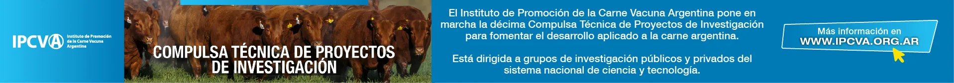 Compulsa IPCVA 920x80